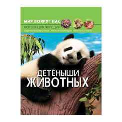 Детские книги - Книга «Мир вокруг нас Детёныши животных» (9789669369482)