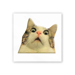 Наборы для творчества - 3D-стикер Tattooshka Мем удивленный котик (SX-27)