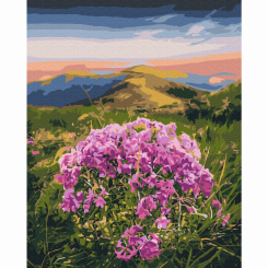 Товари для малювання - Картина за номерами Brushme Цвітіння Карпат (BS53750)