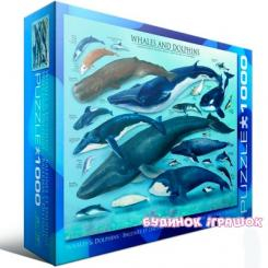 Пазли - Пазли EuroGraphics Кити і дельфіни 1000 елементів(6000-0082)