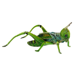 М'які тварини - М'яка іграшка Hansa Сарана зелена 27 см (4806021968796)