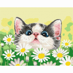 Товары для рисования - Картина по номерам Brushme Котик в ромашках (BS51569)