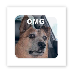 Набори для творчості - 3D стікер Tattooshka Пес OMG (SX-268)