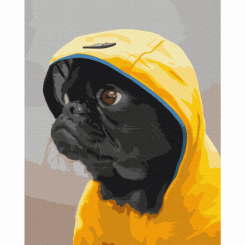 Товари для малювання - Картина за номерами Brushme Мопс в худі (BS52614)