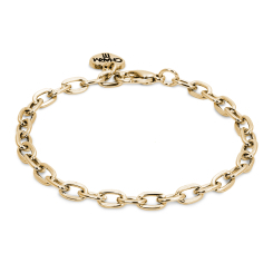 Бижутерия и аксессуары - Браслет Charm it золотистый (D) (CT04-02)