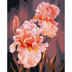 Товары для рисования - Картина по номерам Art Craft Розовые ирисы 40 х 50 см (13140-AC)