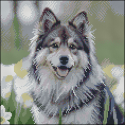 Мозаїка - Алмазна картина Strateg Хаскі в квітах 30 х 30 см (FZ3030-44)
