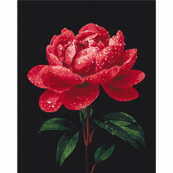 Товари для малювання - Картина за номерами Brushme Півонії в сяйві роси 40х50 см (BS54148) Товари для малювання - Картина за номерами Brushme Півонії в сяйві роси 40х50 см (BS54148)