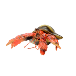 Фигурки животных - Фигурка Lanka Novelties Рак-отшельник красный с мушлей 15 см (21657)