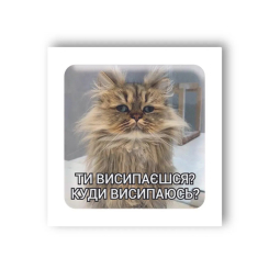 Набори для творчості - 3D-стікер Tattooshka Сонний кіт (SX-38)