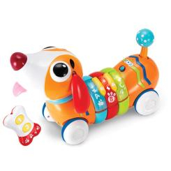 Развивающие игрушки - Музыкальная игрушка WinFun Собака на дистанционном управлении (1142-01)
