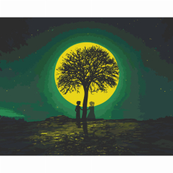 Товары для рисования - Картина по номерам Art Craft Призрачная встреча 40 х 50 см (10548-AC)