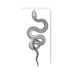 Косметика - Набор тату для тела Tattooshka Змея (L-5)