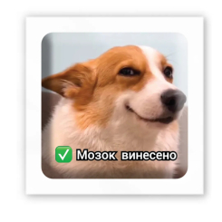 Набори для творчості - 3D-стікер Tattooshka Мозок винесено (SX-141)