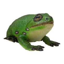 Фігурки тварин - Фігурка Lanka Novelties Зелена деревна жаба 22 см (21554)