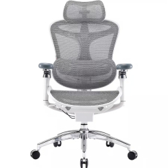 Мебель для геймеров - Офисное кресло Sihoo DORO C300 Pro Mesh White (DORO-C300-PRO-M102)