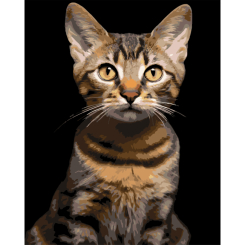Товары для рисования - Картина по номерам Strateg Полосатый кот на черном фоне 40 х 50 см (AH1284)