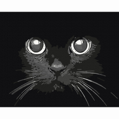 Товари для малювання - Картина за номерами Brushme Погляд ночі (BS52234)