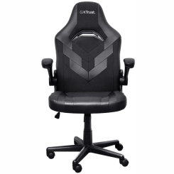 Мебель для геймеров - Кресло Trust GXT703 Riye Foldable Armrests черный (25128_TRUST)