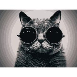 Товари для малювання - Картина за номерами Art Craft Кіт Морфеус 40 х 50 см (11607-AC)