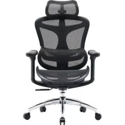 Мебель для геймеров - Офисное кресло Sihoo DORO C300L Mesh Black (DORO-C300L-A3-101)
