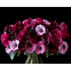 Товары для рисования - Картина по номерам Strateg Красные анемоны на черном фоне 40 х 50 см (AH1288)