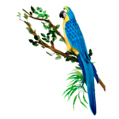 М'які тварини - М'яка іграшка Hansa Синьо-жовтий ара 72 см (4806021930687)