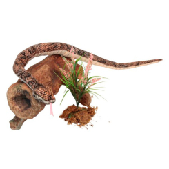 М'які тварини - М'яка іграшка Hansa Пітон коричневий 158 см (4806021963784)