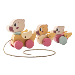 Розвивальні іграшки - Розвивальна іграшка Cubika Мандруючі каченята 2 (15979)