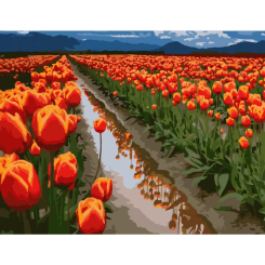 Товари для малювання - Картина за номерами Art Craft Поля в Голландії 40 х 50 см (10524-AC) Товари для малювання - Картина за номерами Art Craft Поля в Голландії 40 х 50 см (10524-AC)