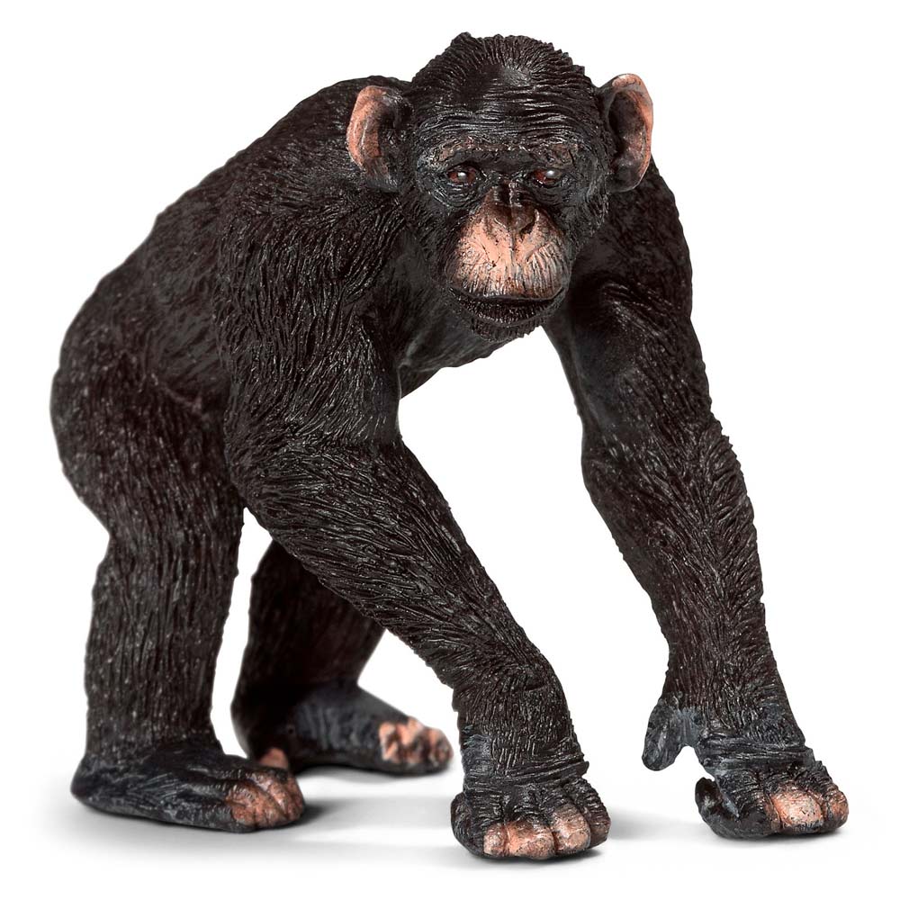 

Игровая фигурка Schleich Шимпанзе самец (14678)