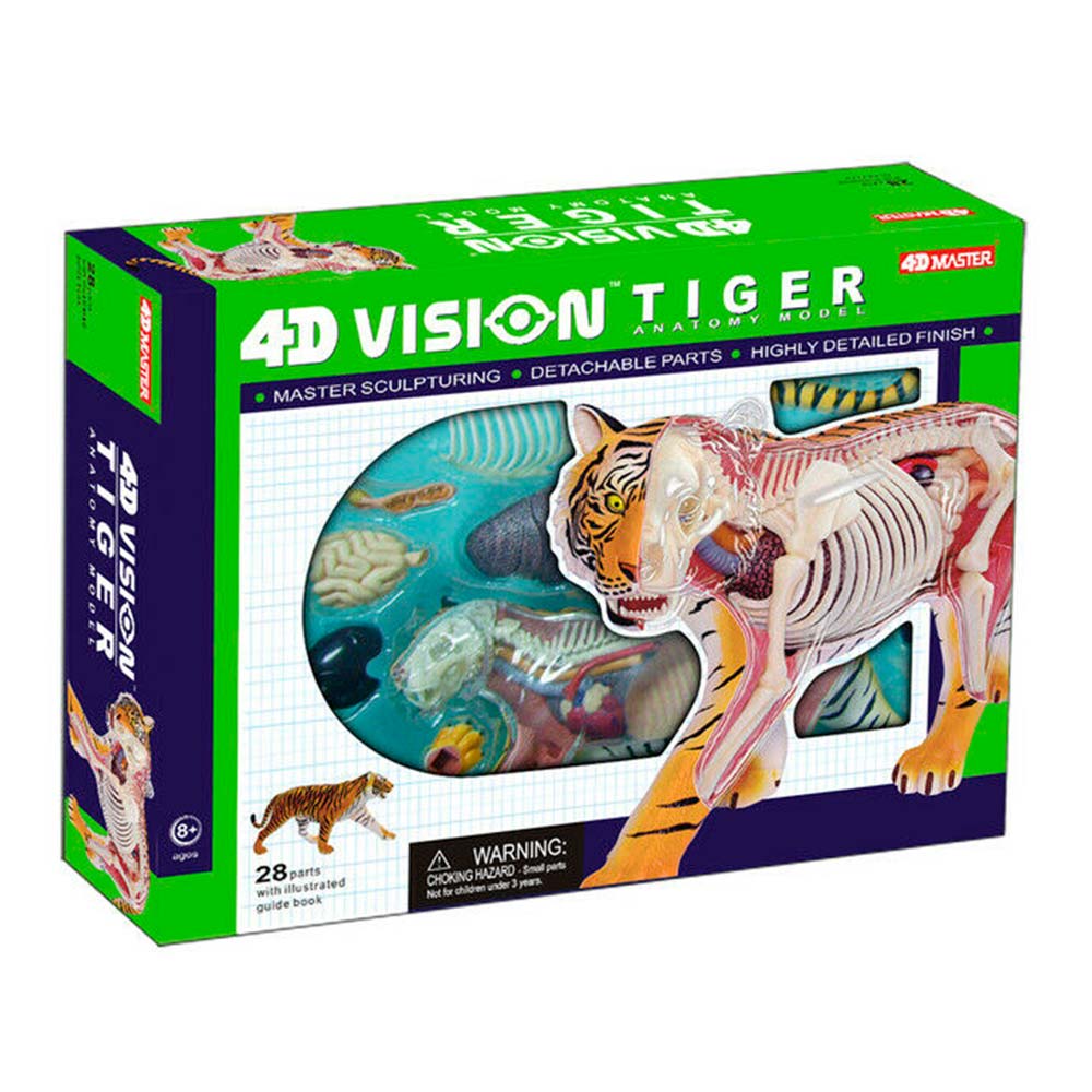 

Сборная анатомическая модель 4D Master Тигр (26105)