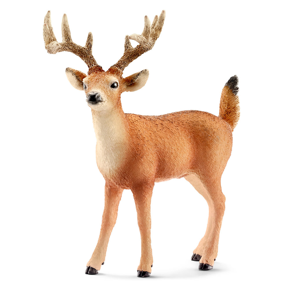 

Игровая фигурка Schleich Белохвостый олень (14709)