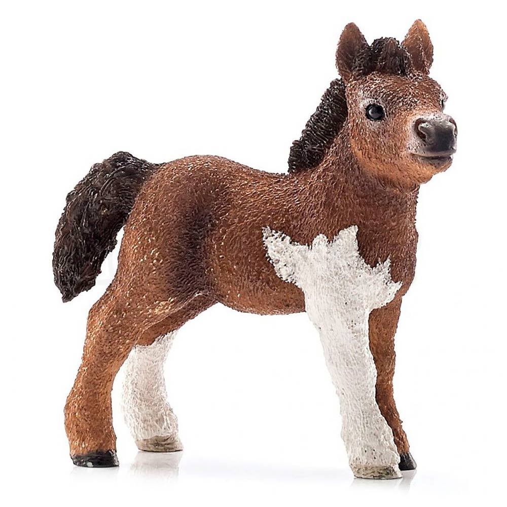 

Фигурка Schleich Жеребенок шетлендского пони (13752)