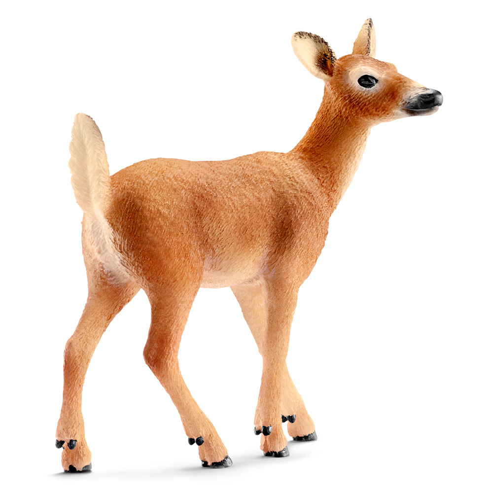 

Фигурка Schleich Самка белохвостого оленя (14710)