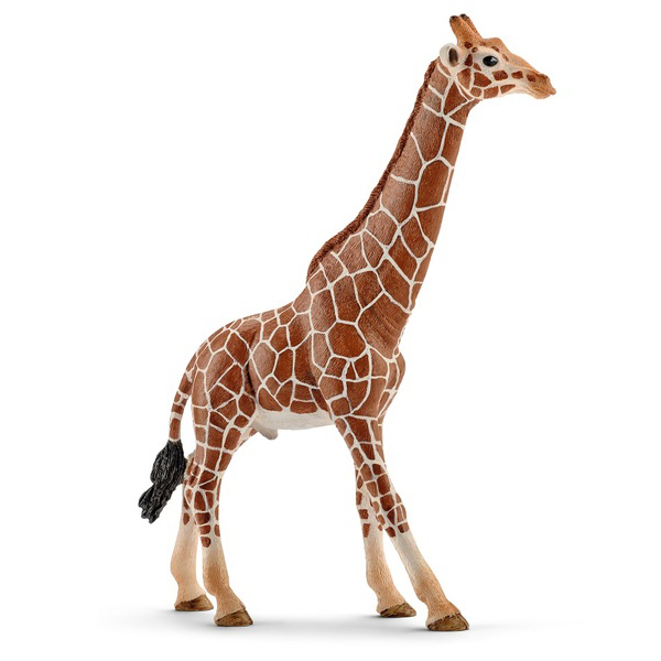 

Ігрова фігурка Schleich «Тварини Африки. Самець Жирафа»