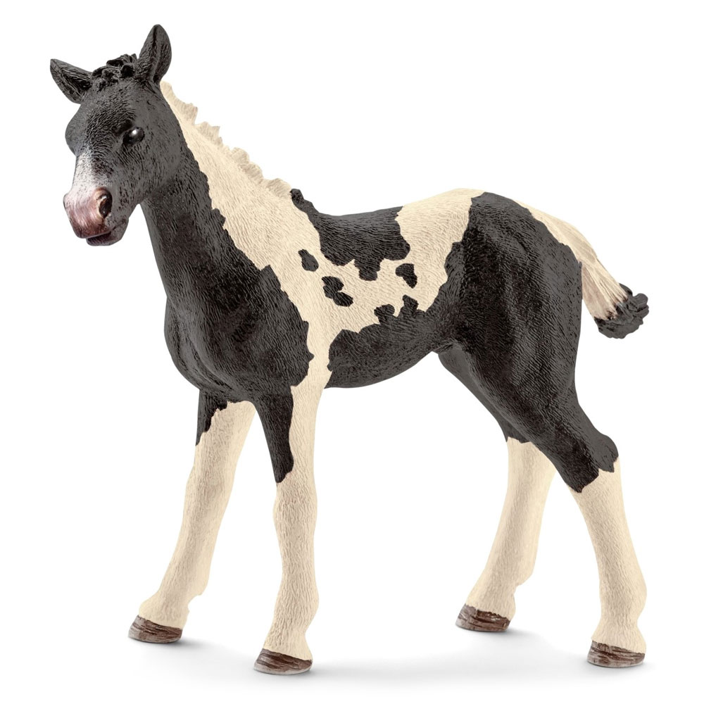 

Фигурка Schleich Жеребенок Пинто (13803)