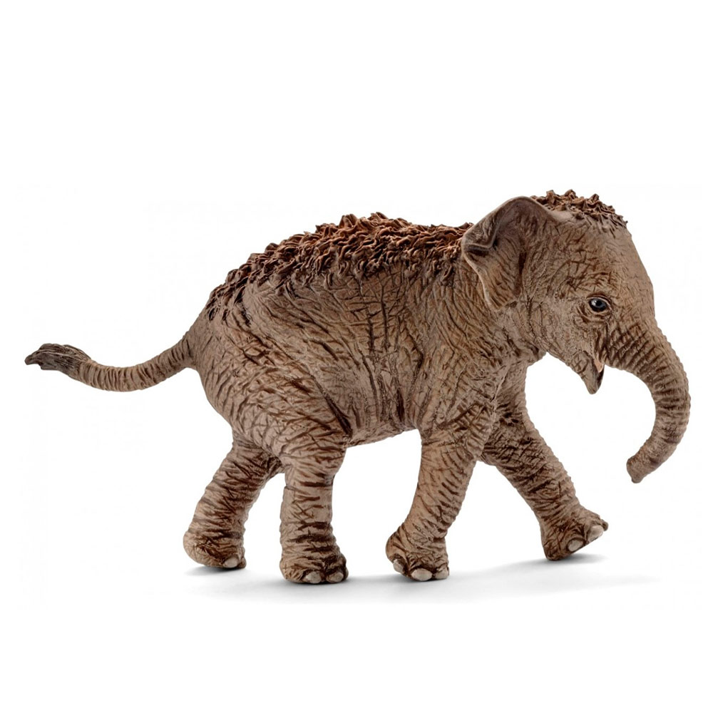 

Игровая фигурка Schleich Детеныш азиатского слона (14755)