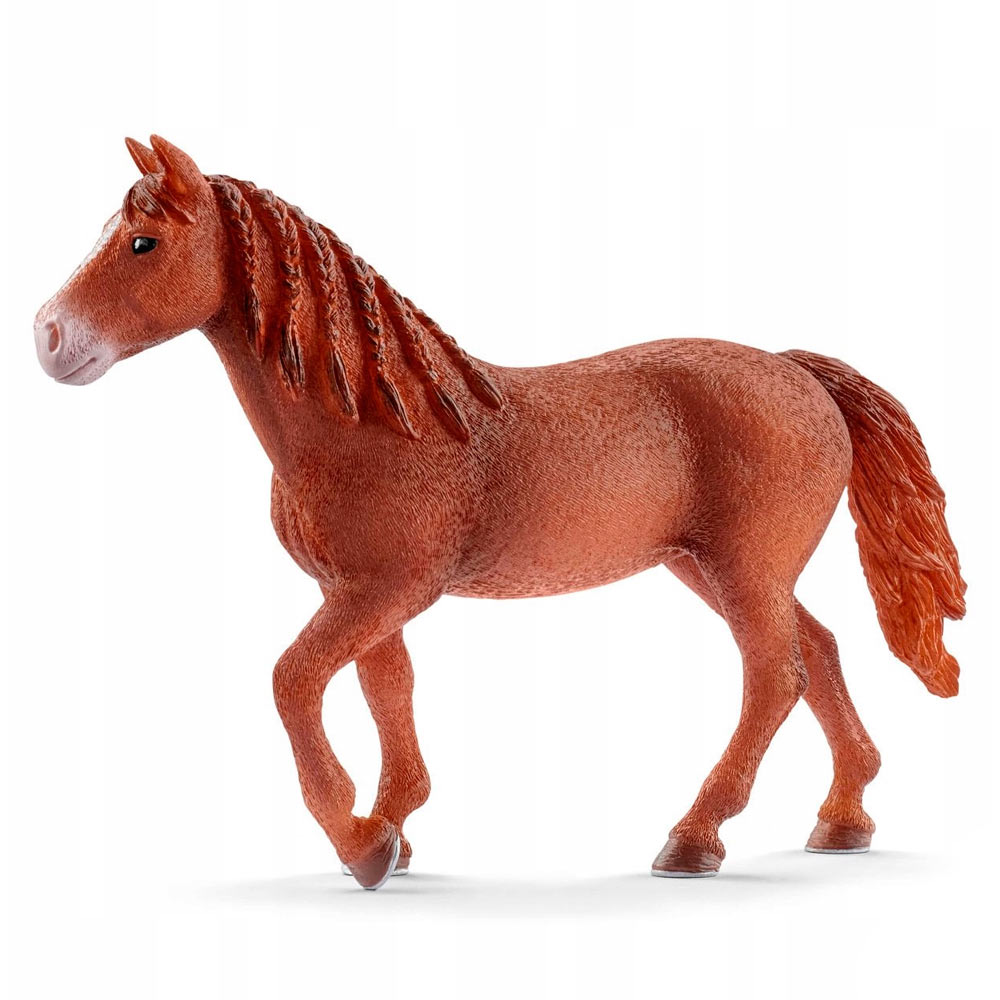 

Пластиковая фигурка Schleich Кобыла Моргана 14,2 х 3 х 10,1 см (13870)