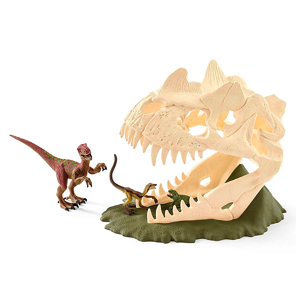 

Набор фигурок Schleich Велоцираптор и большой череп динозавра 29 x 16,5 x 23 см (42348)
