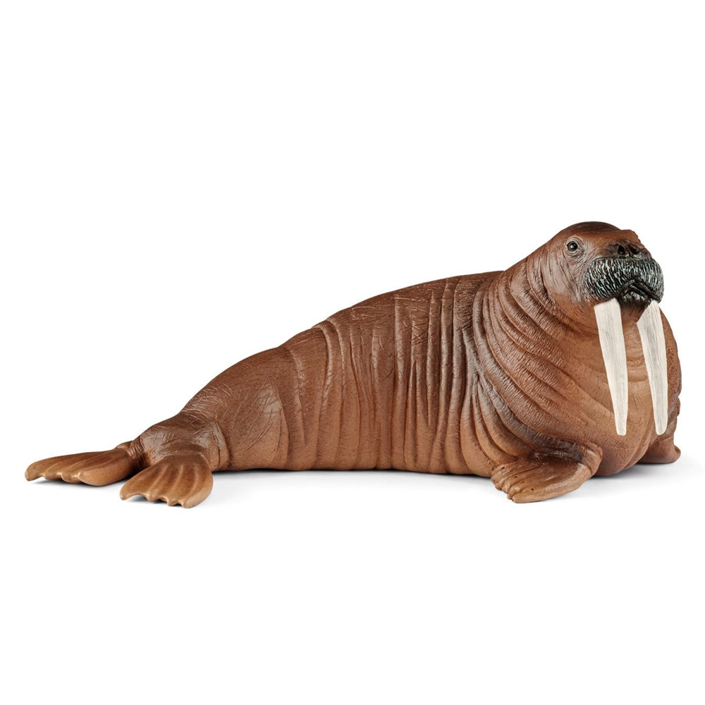 

Пластиковая фигурка Schleich Морж 12,6 x 6,3 x 5,1 см (14803)