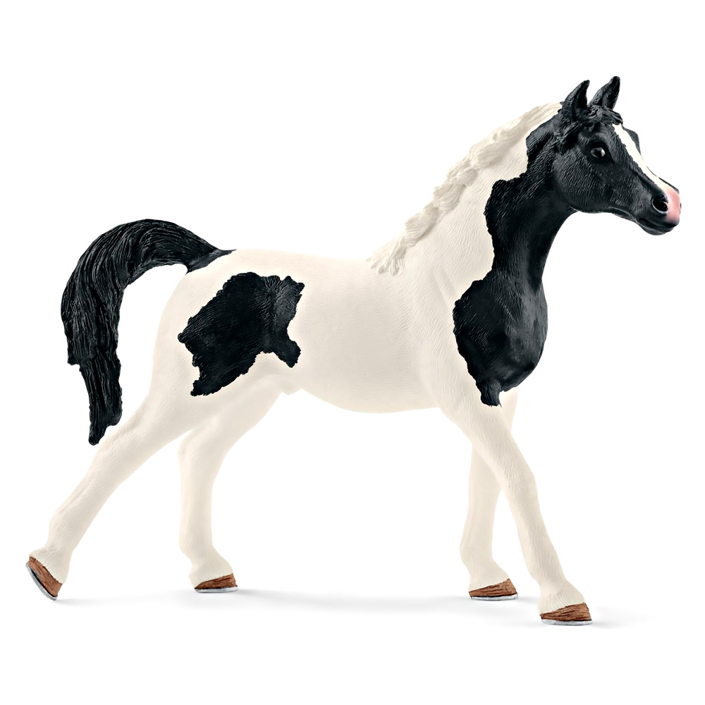 

Фигурка Schleich Horse Club Жеребец породы пинтабиан (13840)