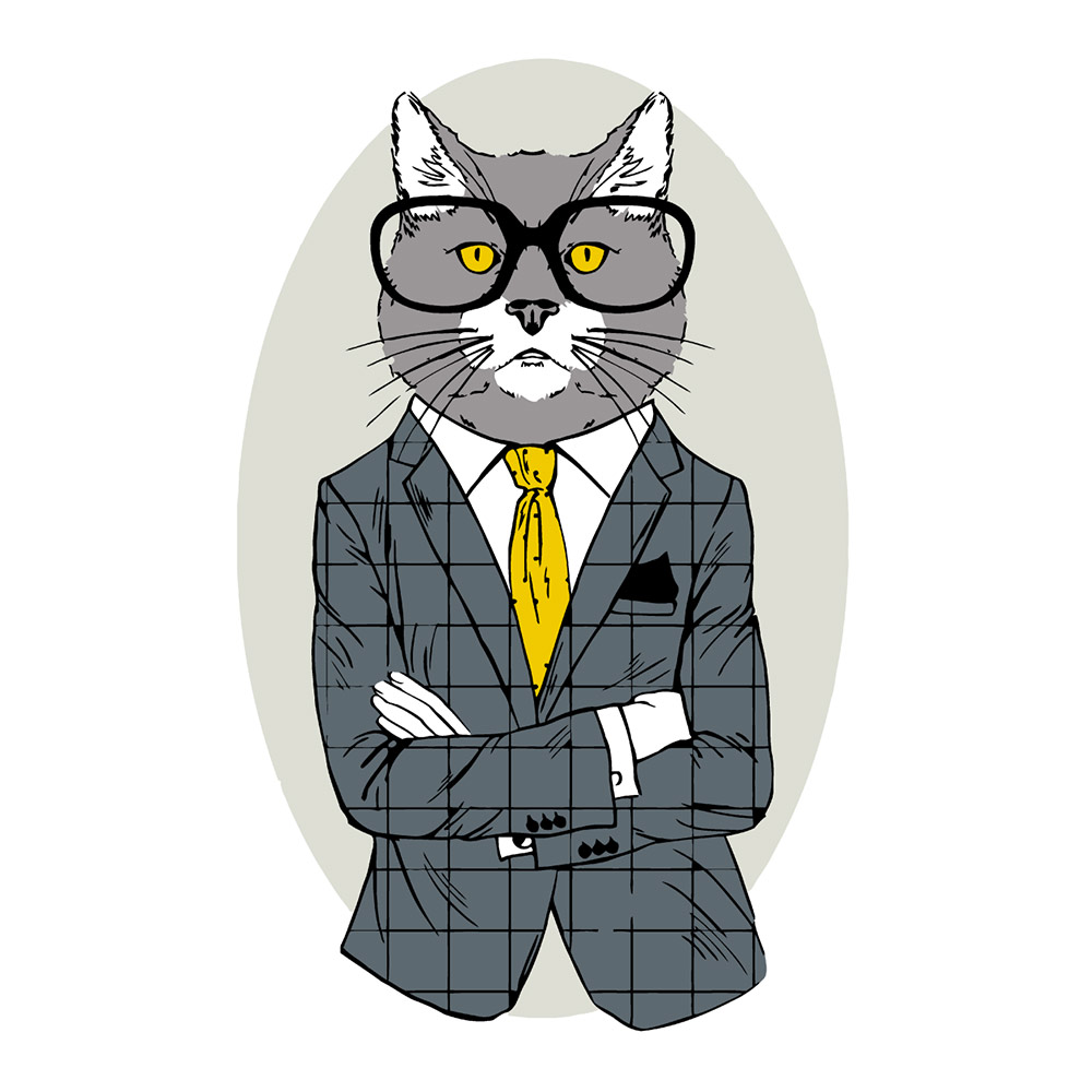 

Набір для акрилового розпису за номерами Rosa start Fashion Cat (N00013266)