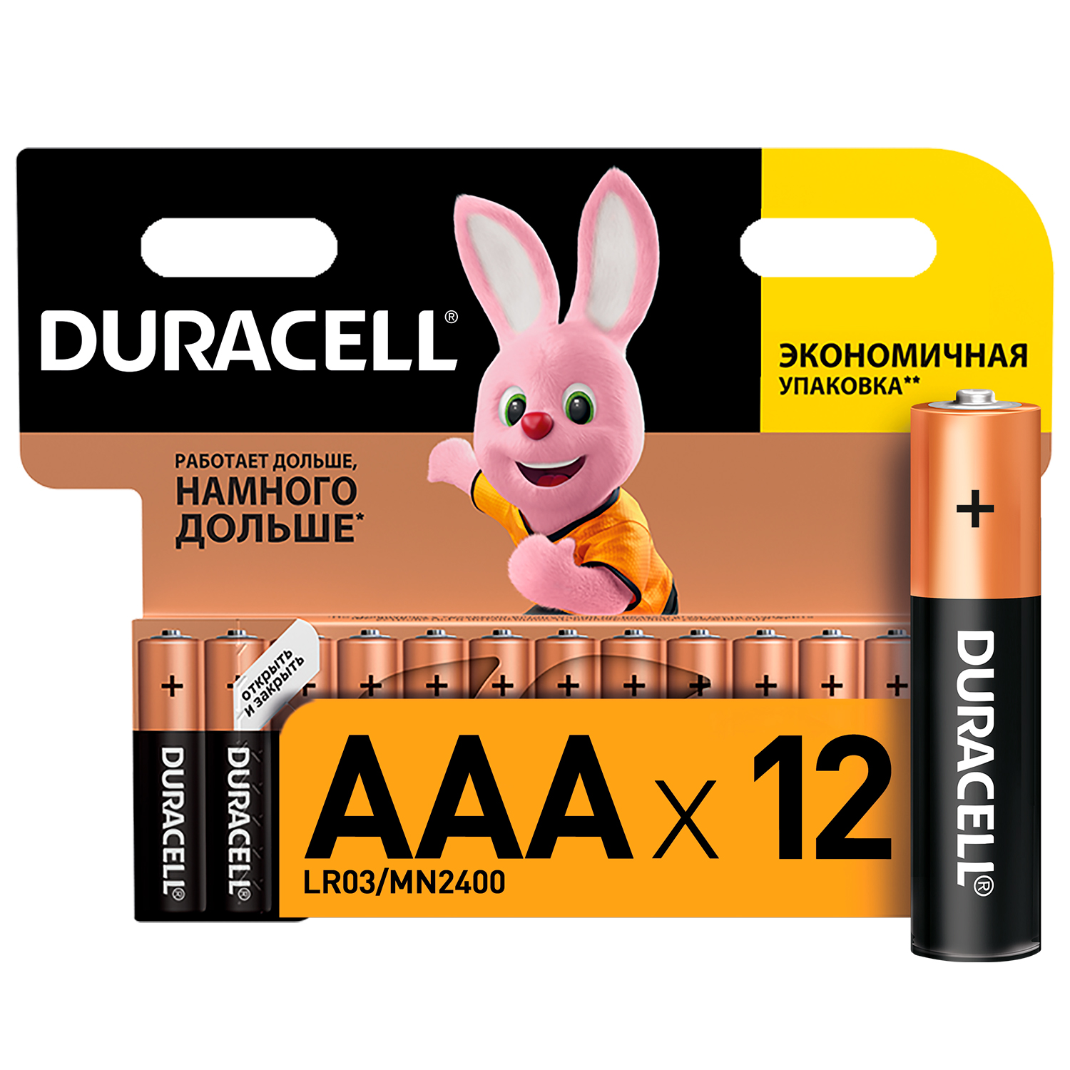 

Батарейки щелочные Duracell Basic ААА 1.5V LR03 12 шт (5000394109254b)