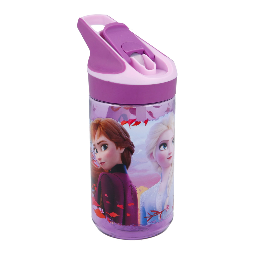 

Бутылка для воды Stor Холодное сердце 2 480 мл тритановая (Stor-35096)