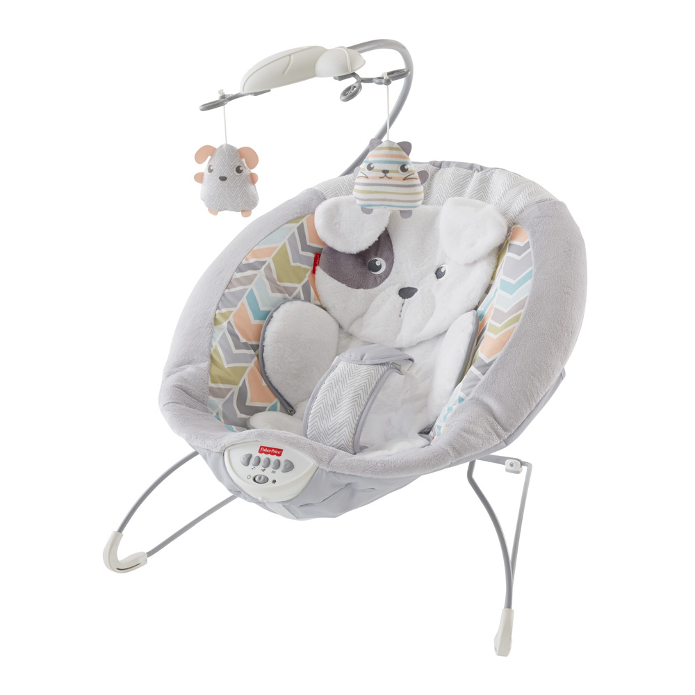 

Массажное кресло Fisher-Price Веселый щенок делюкс (GWD50)