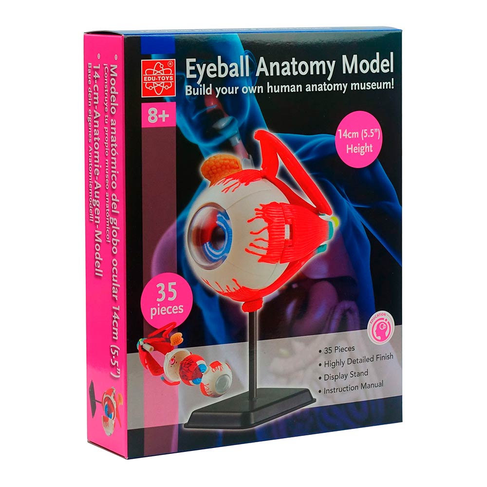 

Набор для исследований Edu-Toys Модель глазного яблока 14 см (SK007)