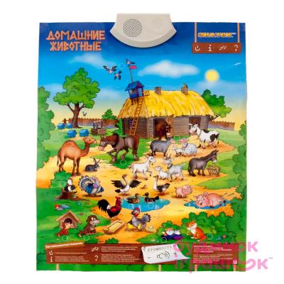 Интерактивные обучающие игрушки - Интерактивная игрушка Плакат Домашние животные Знаток (REW-K042)