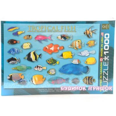 Пазли - Пазли EuroGraphics Тропічні рибки 1000 елементів(6000-1173)