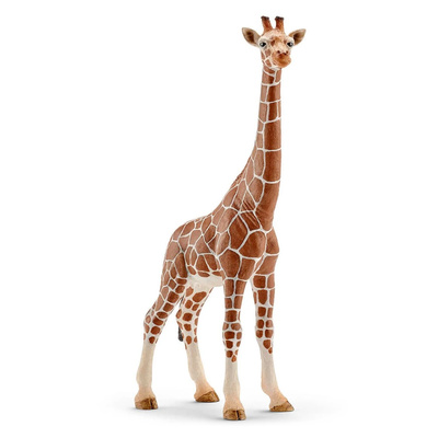 Фигурки животных - Игровая фигурка Schleich «Животные Африки. Самка Жирафа» (14750)